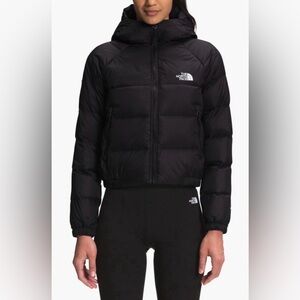 THE NORTH FACE HYDRENALITE JACKET
